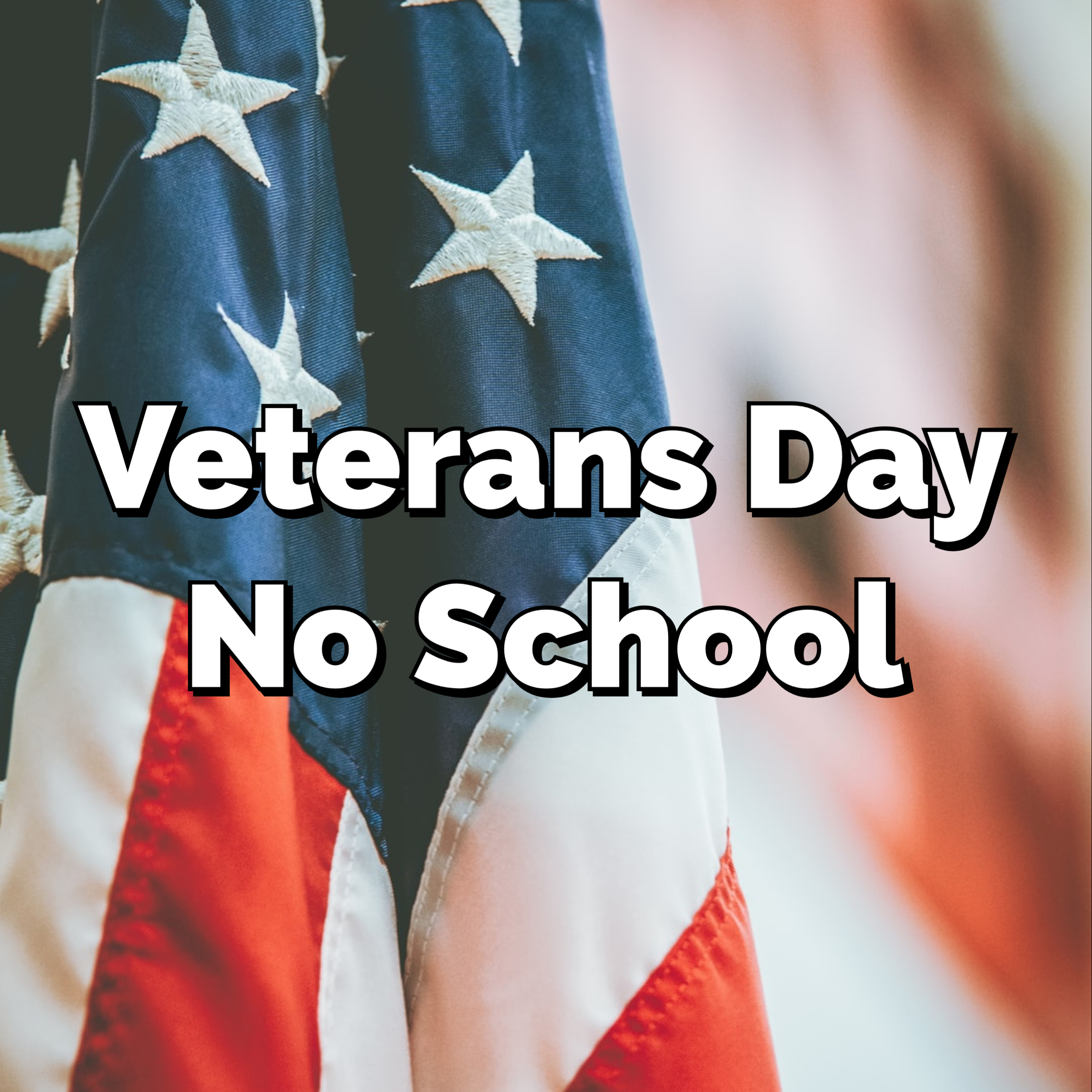 is school out for veterans day